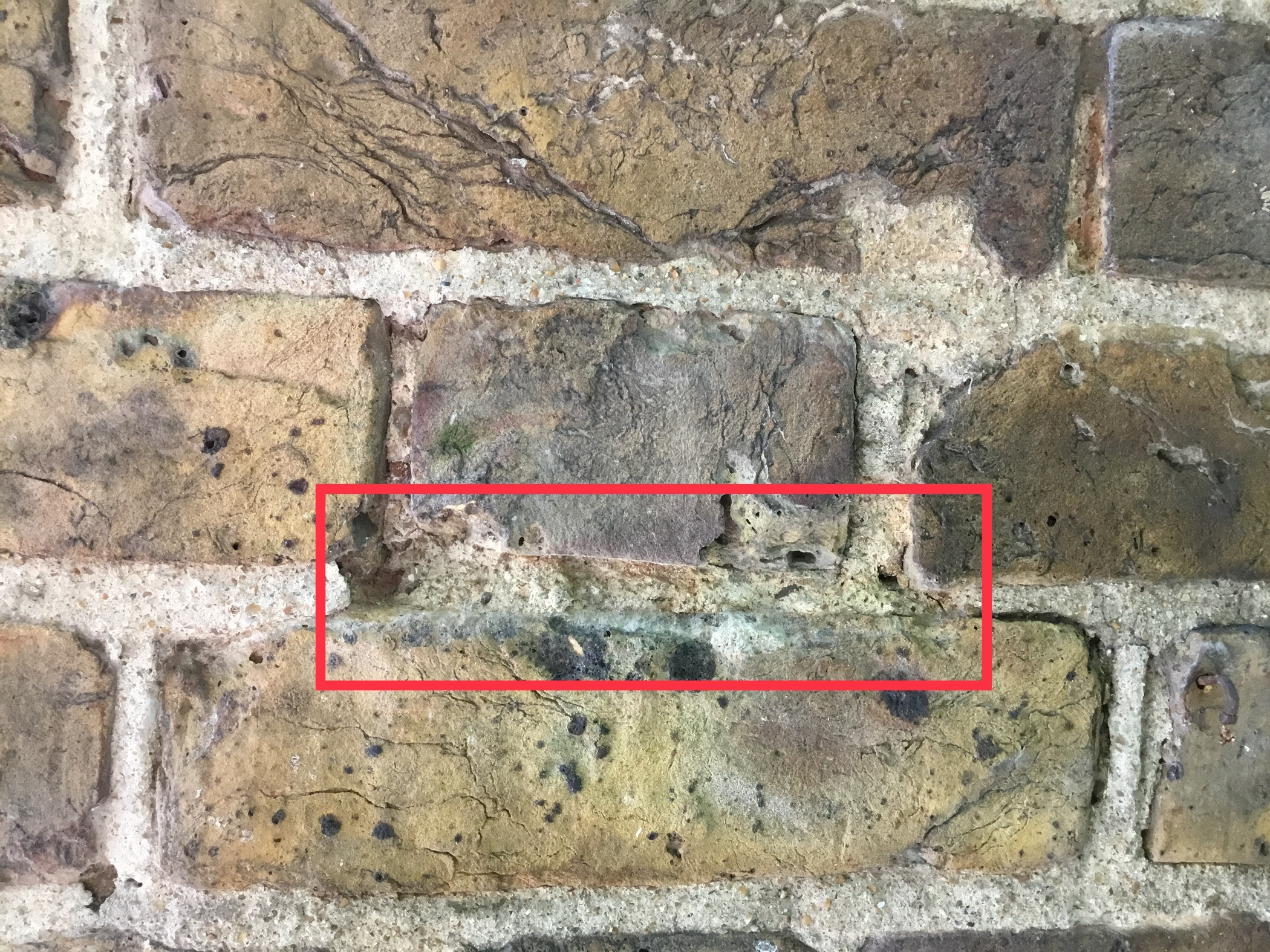 lime pointing beneath cement