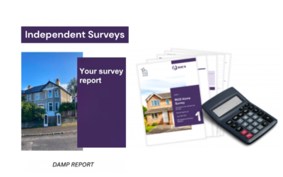 What is an independent damp survey?